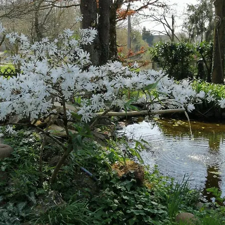 Normand Le Merle Blanc 2 A 6 Personnes Holiday home Pierrepont (Calvados)